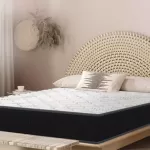 Spine Support Rubberized Coir Mattress